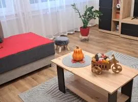 Emily Apartman Salgótarján