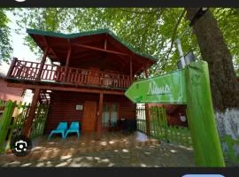 Apartmani Musa