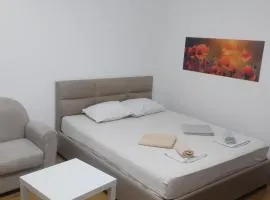 Апартман ПАСЕНТ