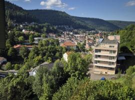 Ferienwohnung Ausblick, ξενοδοχείο σε Bad Wildbad