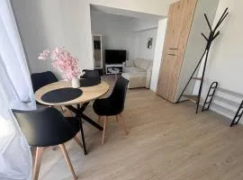 Studio confortable proche Lorient & Plages et voie express