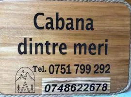 Cabana dintre meri
