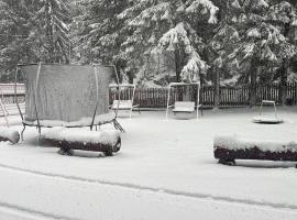 cabana mija，Jieţ的住宿