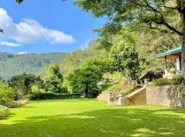 Bawlana Estate - Kandy