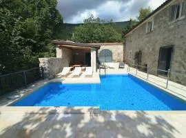 Villa Galant Brgudac - Private Oasis with Pool