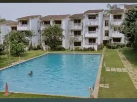 RJ Avenue 1BHK Apartment