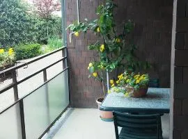 Emi Apartment