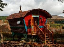 Off-Grid Rustic Glamping Experience Ideal to Reconnect in NY