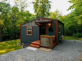 Off-Grid Cabin Surrounded by Trees in Pineville, Missouri