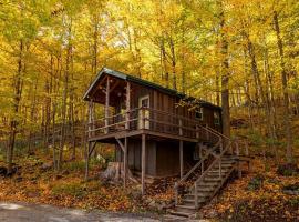 Treehouse Cabin in Riverton, WV, hotel en Riverton