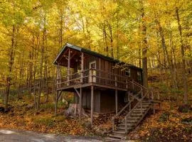 Treehouse Cabin in Riverton, WV