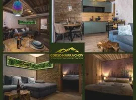 Mountain Apartment No 209-CORSO Harrachov, High Speed WI-FI, Ambilight smart TV, Netflix, YouTube, FREE parking, PRIVATE ski storage, "Ski-in Ski-out"