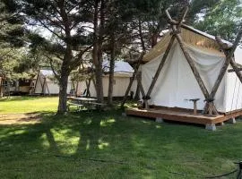 Pet-Friendly Safari Tent Glamping in Swan Valley, Idaho near Jackson Hole