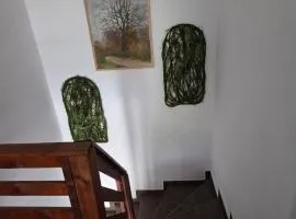 Pensiunea Gradia Șuncuiuș