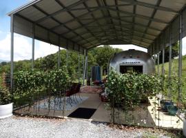 Vintage Airstream for a Unique Getaway near Watauga Lake in Elizabethton, Tennessee, hotel v destinaci Hampton