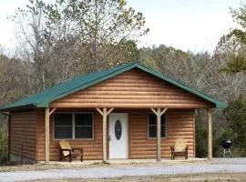 Fantastic Cozy Cabin with Fire Pit, Hot-tub and Fireplace in Herod, Illinois
