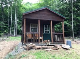 Log Cabin for Family Glamping Vacation near Cherry Springs State Park, Pennsylvania, hotel in Short Run