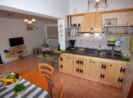 Apartment Nika
