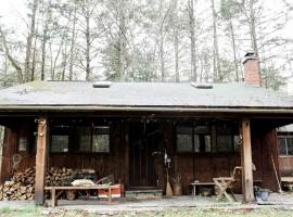 Rustic Cabin Retreat on the Ten Mile River in Narrowsburg, New York, hotel v destinaci Lava
