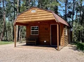 Unique Wooden Cabin Nestled Amidst Trees in Rapid City, South Dakota