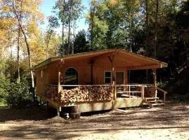 Rustic Creekside Cabin on 100-Acre Forest near Letchworth Park, New York