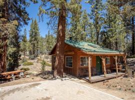 Cozy Four-Person Cabin Secluded in the Woodlands of Angelus Oaks, California, ξενοδοχείο σε Angelus Oaks