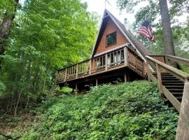 Secluded A-Frame Cabin with Private Riverfront on Little Manistee River near Tustin, Michigan