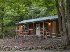 Cabin in the woods w/ WIFI close to Monongahela National Forest