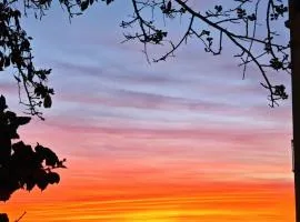 WINDOW on the SUNSET