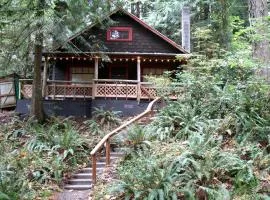 Secluded Forest Cabin in Rhododendron near Mt Hood Village in Oregon
