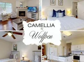 Cozy Updated Home Near Wolf Pen Creek Park – College Station, Texas