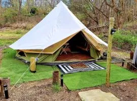 Creekside Glamping Heaven with Comfy Interior in Cosby, Tennessee