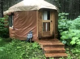 Alaskan Glamping Yurt in Seward for an Eco-Adventure