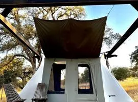 Cute, Lakeside Glamping Bell Tent #2, Wheatland, California