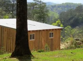 Fantastic Glamping Tiny Home Rental on The Toccoa River in Blue Ridge, Georgia