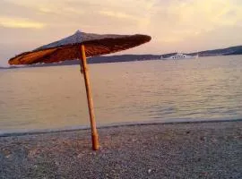 Studio apartman sirena