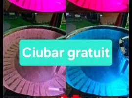 Pensiunea Cabana Viselor ,Apuseni