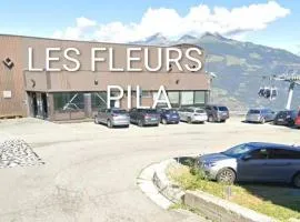 Pila Petit Coin Gerdaz Les Fleurs SKI & MTB