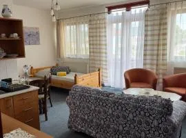 2- izbový APARTMÁN KAJKA v PENZION TRSTENÁ