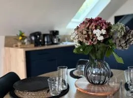 Appartement lumineux 4 personnes, Puy Mary
