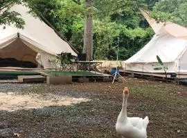 5 meter belle tent for 5 people