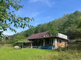 The cottage, hotel i Certeju de Jos