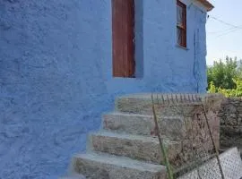 Maison figueirosa