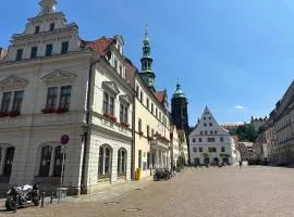 FeWo - ElbResidenz 8 "Am Markt" in Pirna