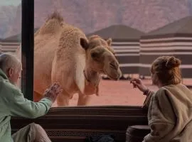 Camp in the natural reserve & tours