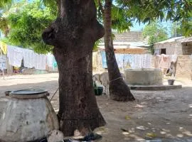 Chez Fatou - Immersion au cœur du Sénégal