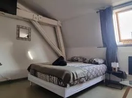 T1 rénové 24m2 Cosy Confort !