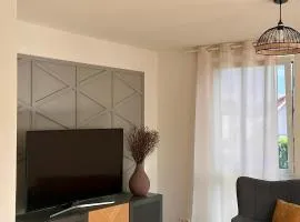 AMAO Grey - 86 m2 Apartment - Balcony - King-Size Beds - Free Parking - Near Europa-Park - Up to 12 Guests with 2 Units