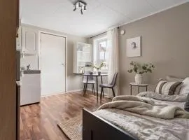 Central studio apartment
