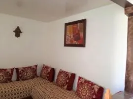 bel appartement centre harhoura